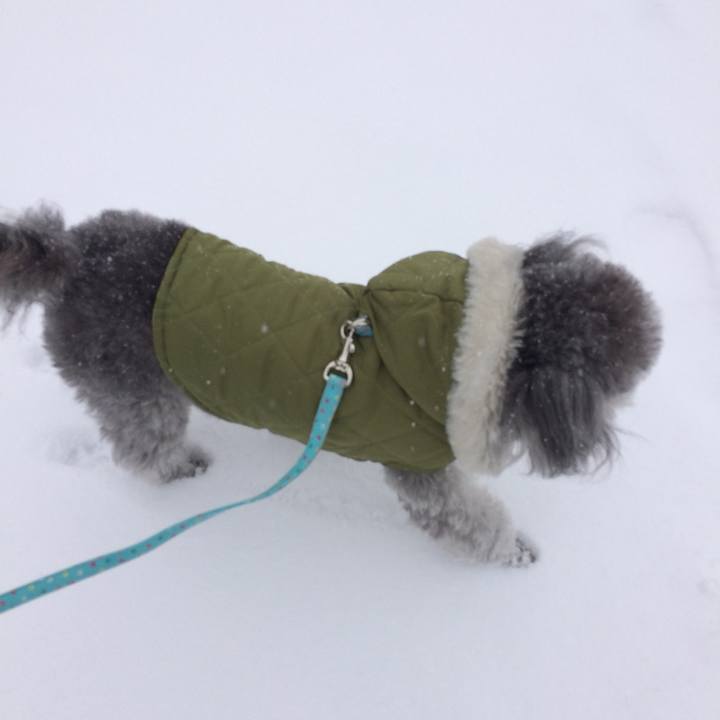 47ed6545 0ba0 487f be71 439a32ebd210 1765759872715