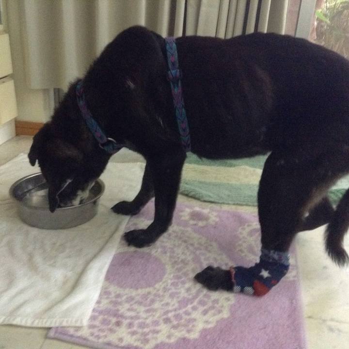 47ed7607 ffea 412c b8c6 0c780091c9bc 1510735373025