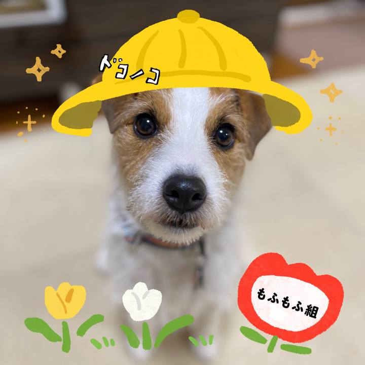 47ed7ccd 9e64 4473 997f 84bafb891687 1712609140589