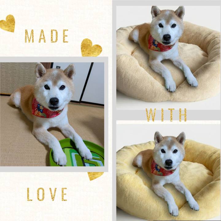 47ed92ef 524c 4bb4 a9c8 5779e6179072 1770979250443