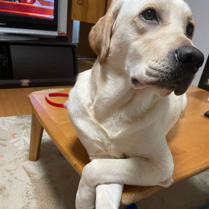 47ed96c9 8fc9 42db 85b9 504eae2253c5 1640352888738