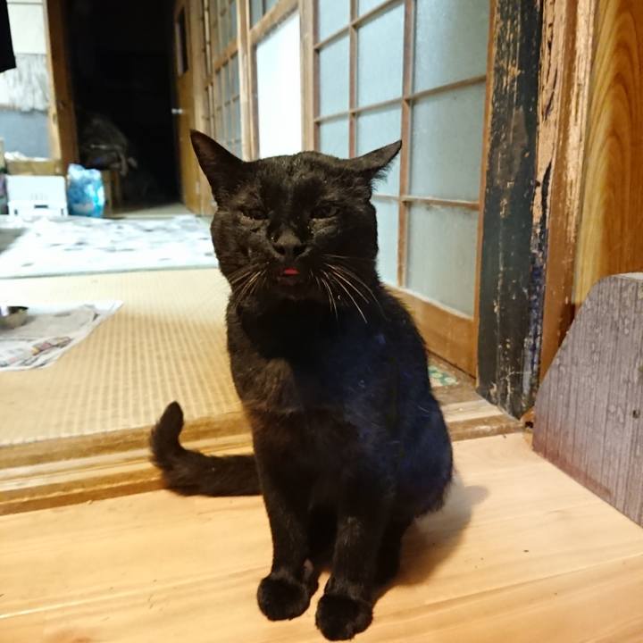 47ed9ab4 f8f0 468e a869 75ee44595b5b 1627472655231