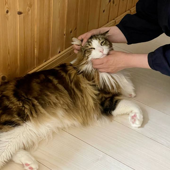 47edb09f 62fa 4810 94da 75d79461408b 1677617377583