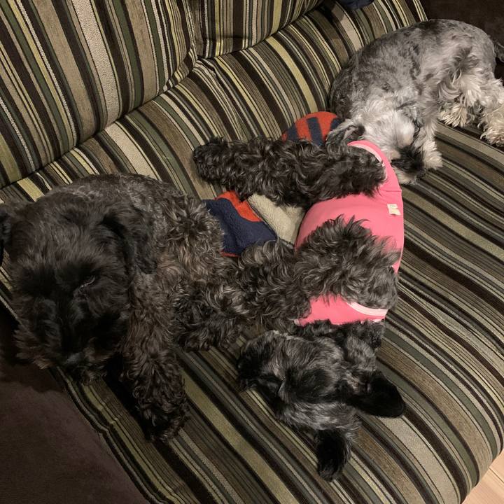 47edf2cc 7307 4c19 bfef 0b600901568d 1603885749502