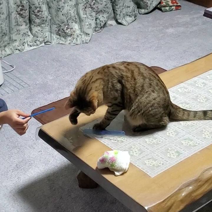 47edf3c6 77a4 4c66 8515 01f559eaadd2 1704638564103