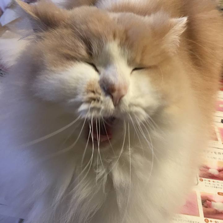 47edfbe9 d3d0 426e 8b6a f016d41d04c9 1564572930334