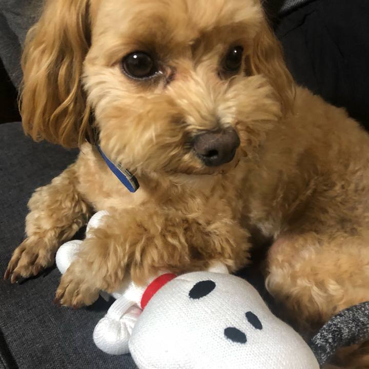 47ee0185 5351 49fd 820c bed57a32463f 1618401201877