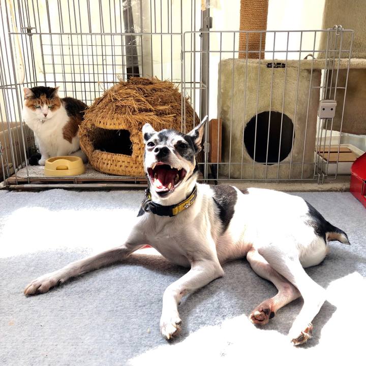 47ee5449 ef0c 4b2f a86a 126aa3ad1a5d 1556932296797