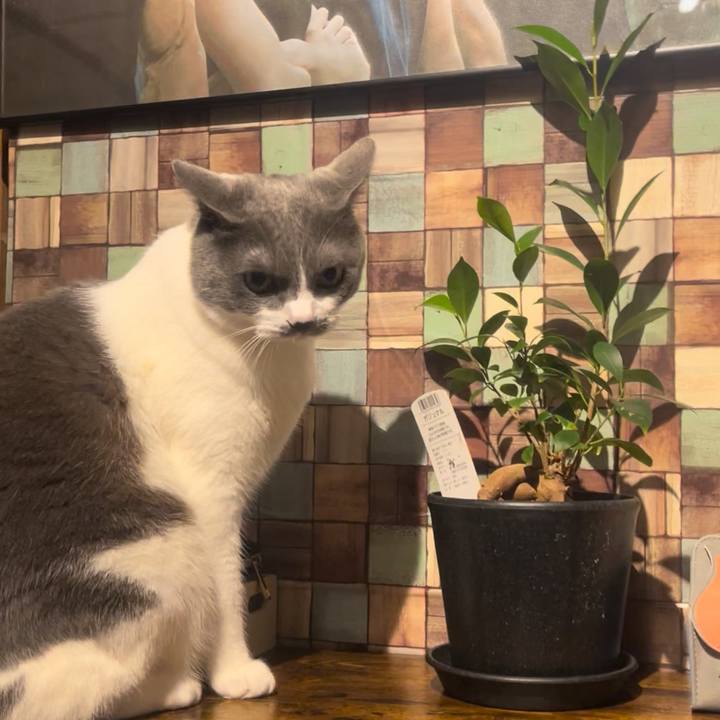 47ee6d37 21b0 4433 8045 292fa2575bd6 1719746985375