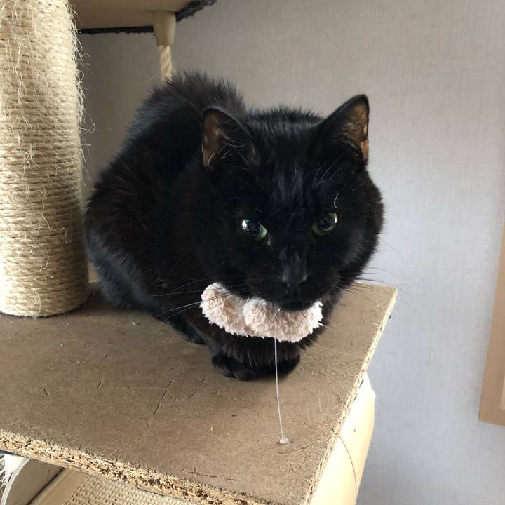 47ee80a7 e856 4690 8645 4088ca92eaa5 1554759241940