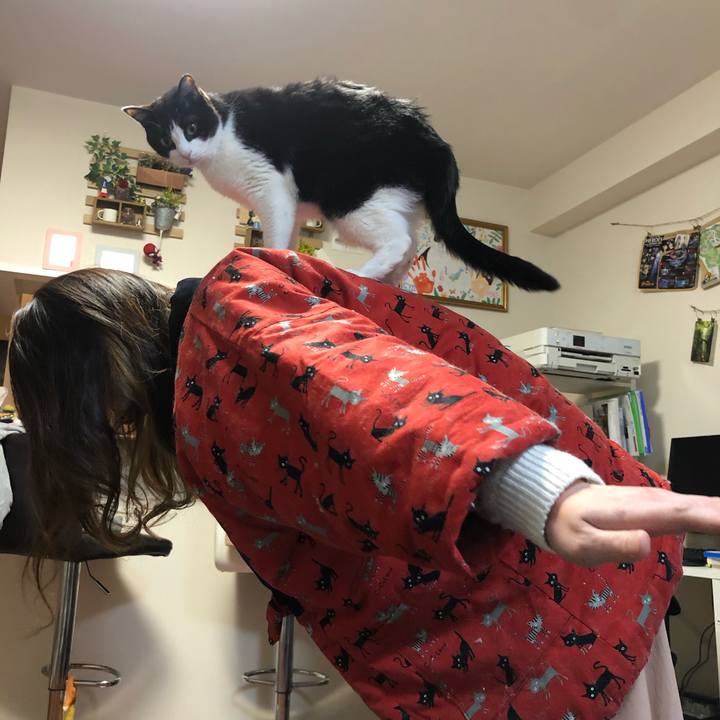 47ee8e26 040b 44fc aa26 b9beadb25f3f 1579856341484