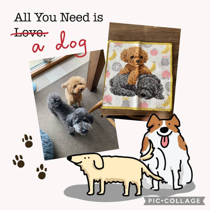 47ee9b31 9917 46d3 a66a f7cd91c813f9 1687518026983