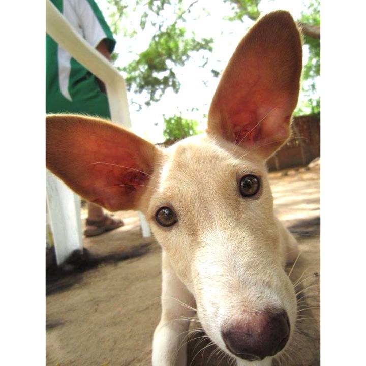 47eea174 c3be 46bd a598 23178af806b0 1537936841592