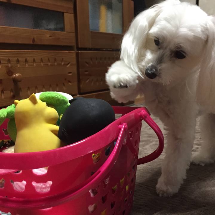 47eeb8c1 c663 4c37 97d0 01af270f0442 1551532432074