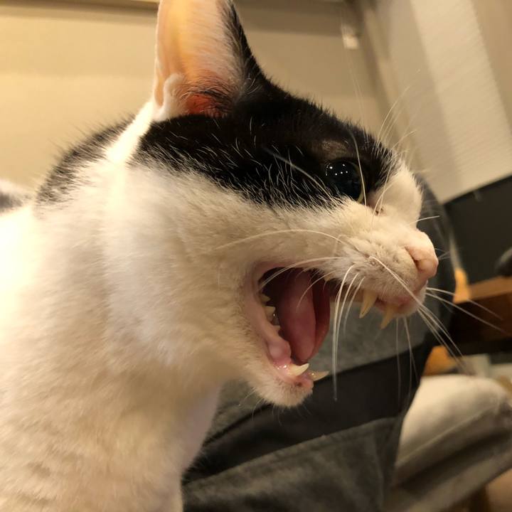 47eebffa 9e4d 4e6d 94fe b8f4900f8dd3 1673998196222