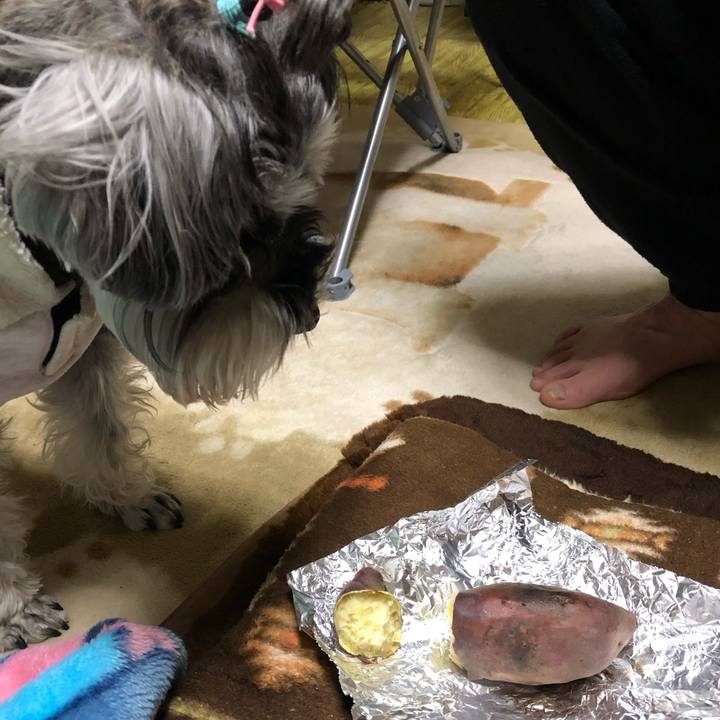 47eec611 1f1d 46d1 ad68 8e7cdcc22920 1552913114345