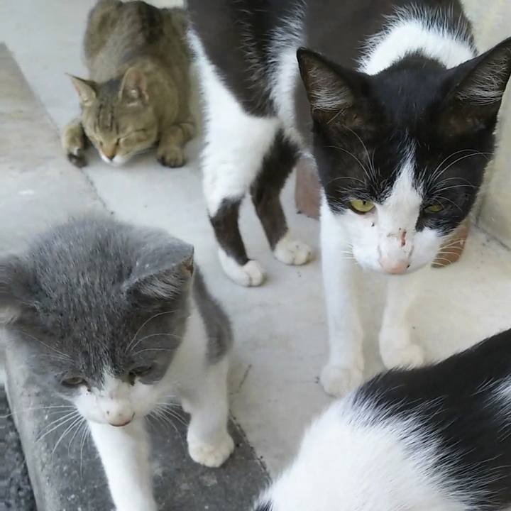 47eedaf8 d723 4e5f 882f 6a7e9b8d7a08 1530669440812