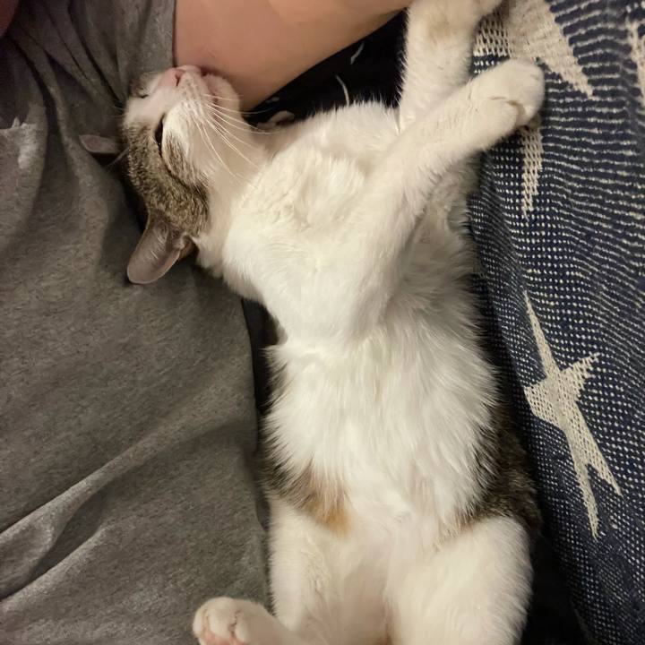 47ef4638 0ddd 4190 a759 bd7984952314 1627215298964