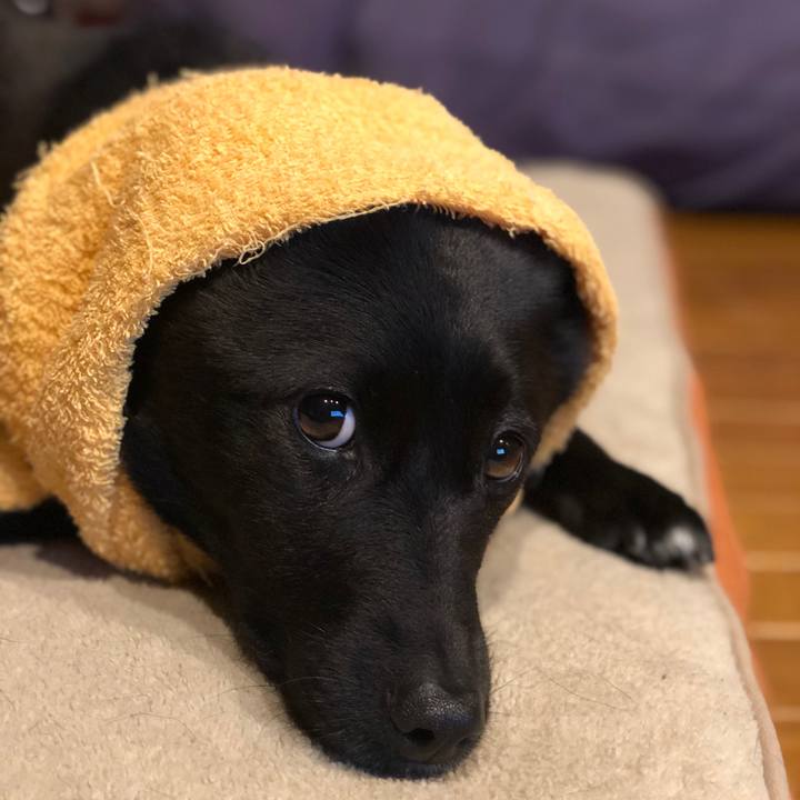 47efb389 7d9f 411e 8db0 a132c1d23461 1589593686097