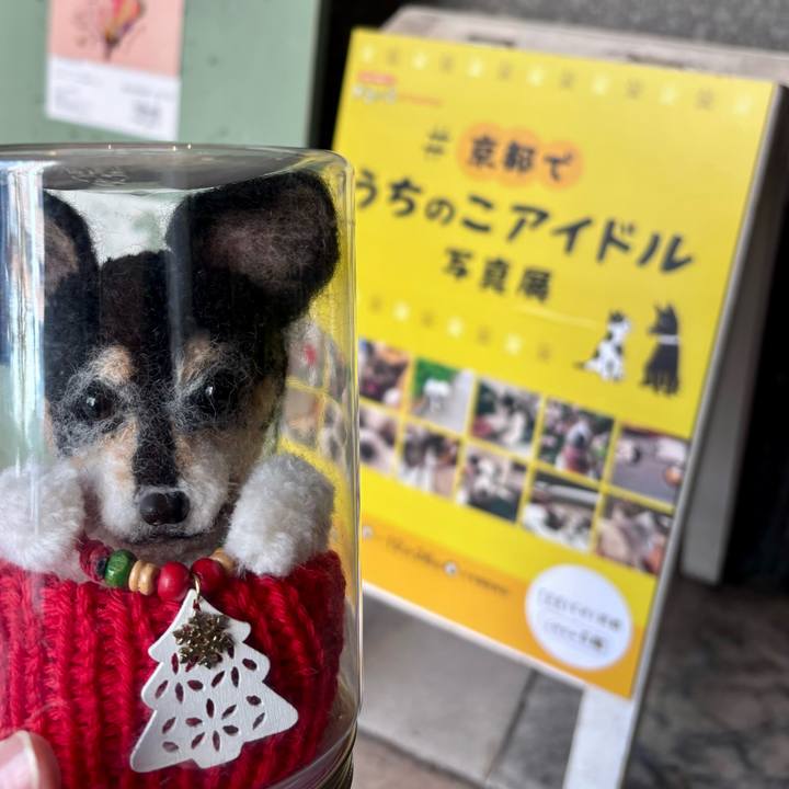 47efea44 d99a 4479 ac98 9ec9103f51d4 1765600207804