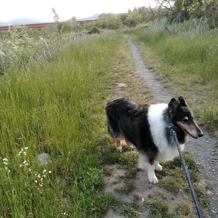 47eff970 b291 426e 8e95 30de22a76e15 1558095054712