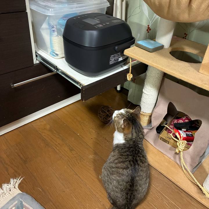 47f04162 95f5 4679 87da e5e8cb0a9655 1768483944455