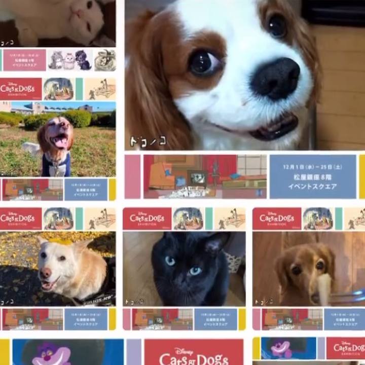 47f0516e 23f2 4a49 a59a 2d3d5fc0267a 1638405527642