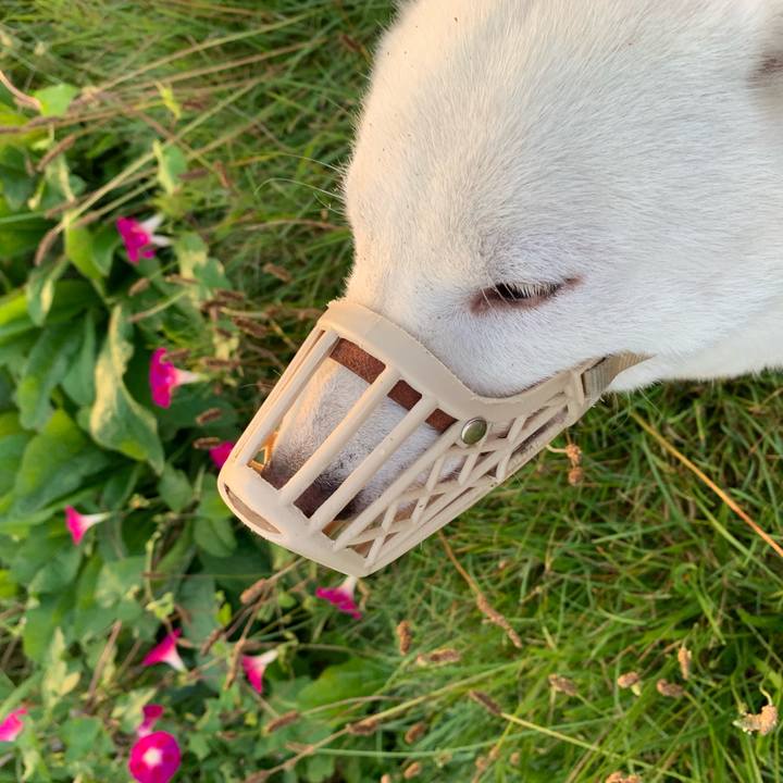 47f05f95 05e8 4690 ab7d 9125ea56d089 1566075554057