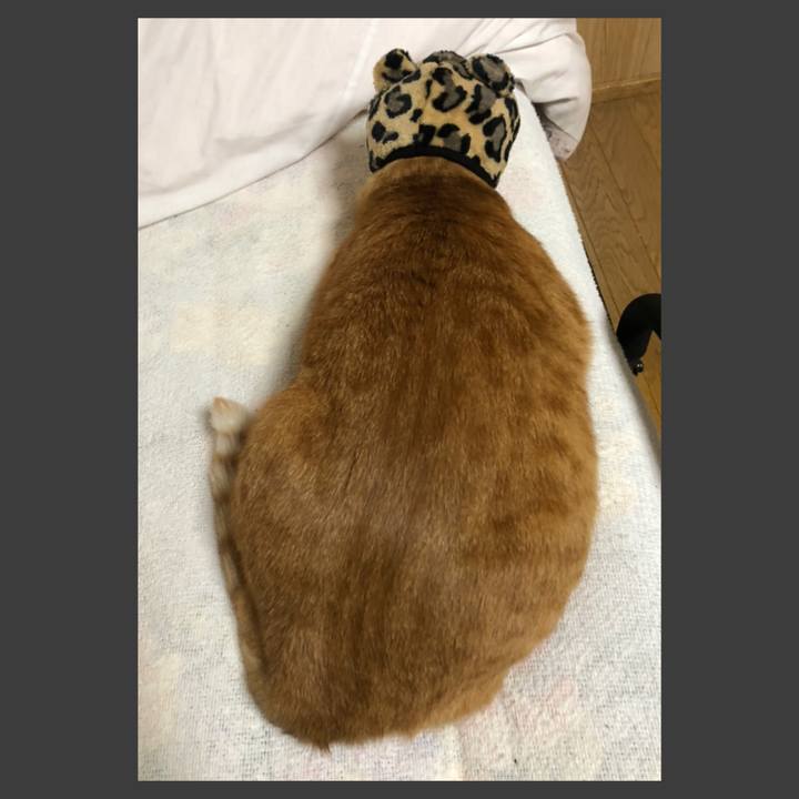 47f0727d 7cfd 4d40 a35a 2ee0f5162266 1606555295272