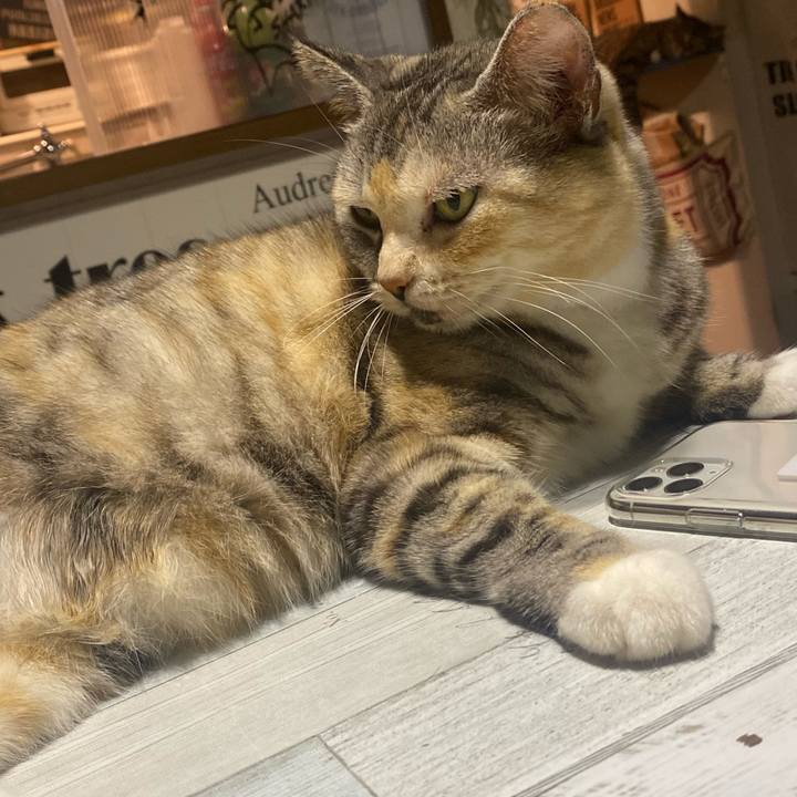 47f09343 29fc 4ad7 8f0f c2f312a256e4 1626957086304