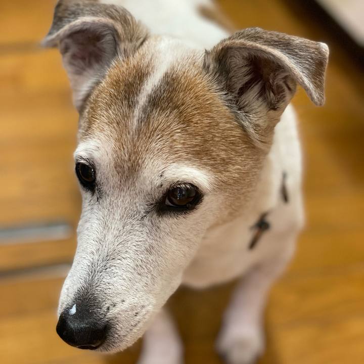 47f0943e 78a6 48da 9e76 c4dc0d349f25 1641686917542