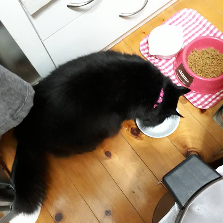 47f09888 5aa4 4b4b 8032 3f323638a455 1519507891209