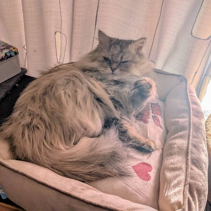 47f0bba4 e1b1 4f1d 8787 af4c23441984 1765676333940