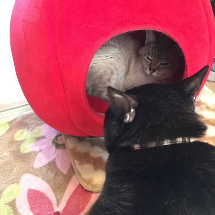 47f10346 d0e2 42b4 872f d6f5fd1567a8 1523236191516