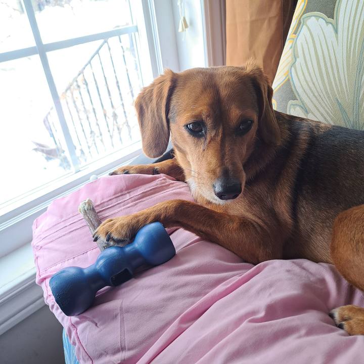 47f132eb 5595 40a0 87bc 7d674e93a7cf 1770729828707