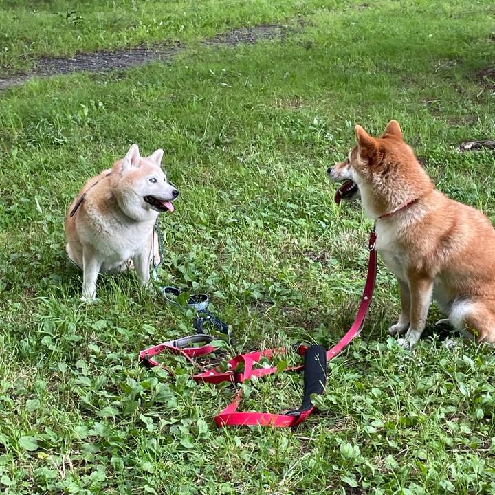 47f171c2 8e72 43f7 97c7 14eb06d513a1 1725324227109