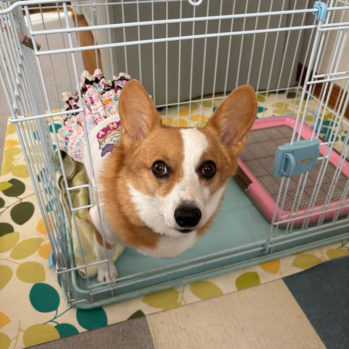 47f17952 ae46 4052 9100 1ecc570142f9 1759988958850