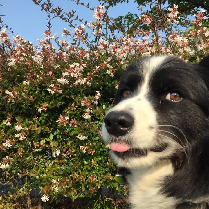 47f17fcb 6e04 470a 8b6b 58832d687047 1560985558833