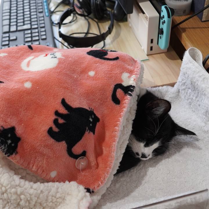 47f17fce 77df 40a8 ae68 c51788fc3bde 1608011509213