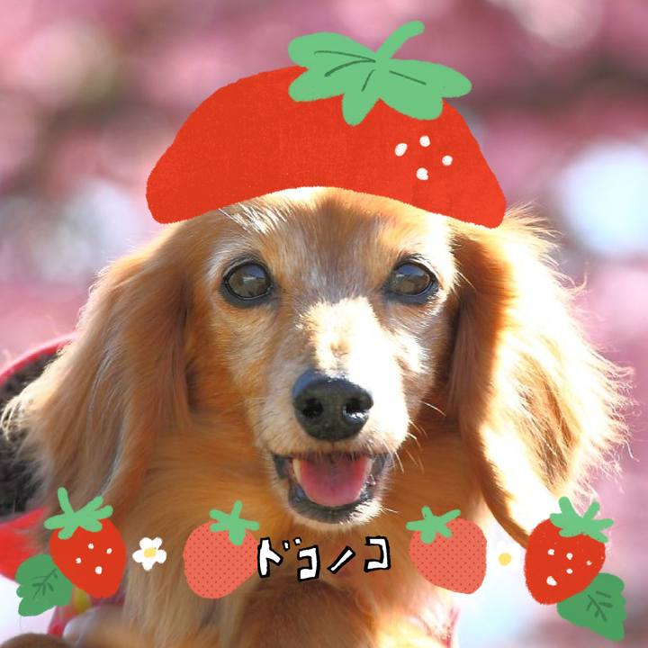 47f1bfca aa31 45b6 8367 34d9912a5b70 1775391209726