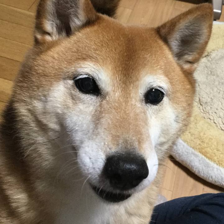 47f1c330 e34c 4c8a 84f7 be4106f6e79e 1590050373828