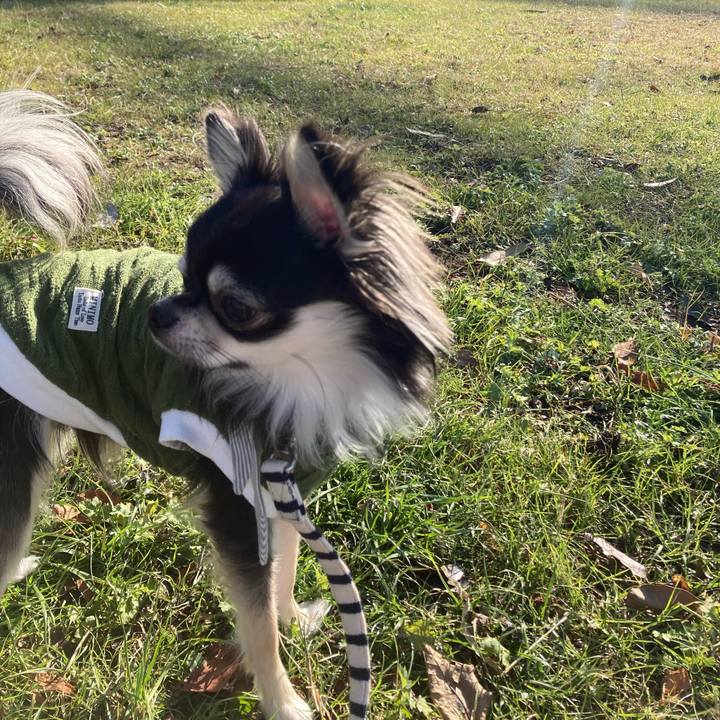 47f1c854 650f 4717 8ce4 44a03c827c67 1609302887794