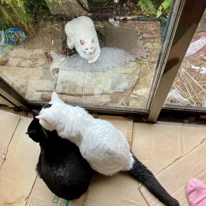 47f1d8c0 7ccc 449f 98c8 ffc361b9fcb0 1761548381331