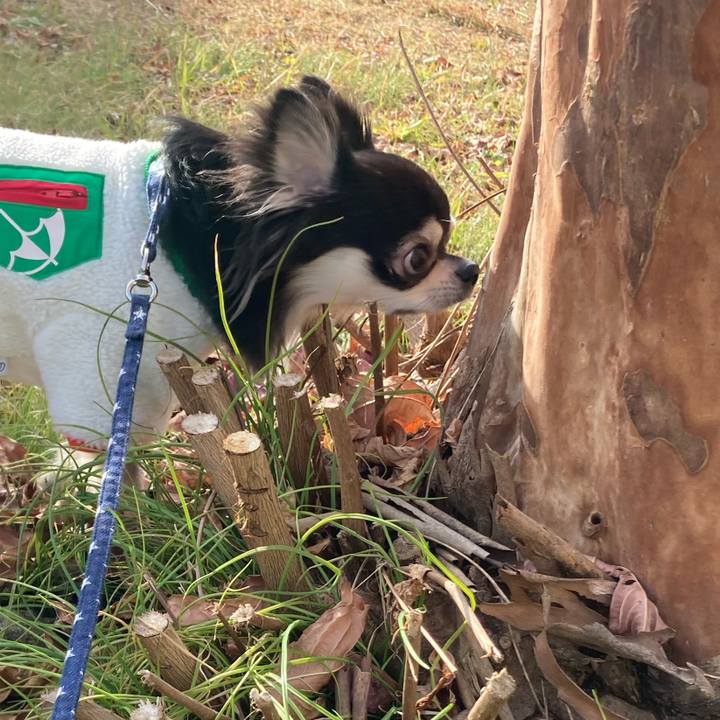 47f201f1 02ae 4548 8b60 94b39cbe9a37 1644672664301