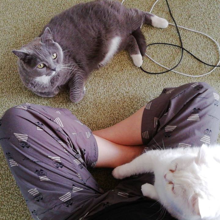 47f20872 9e28 4fab 836e 7026290aeb5b 1712528892084