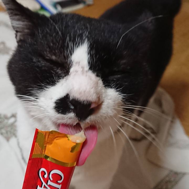 47f28a3e 7e08 40d9 8524 c1b9bf899d76 1598959970157