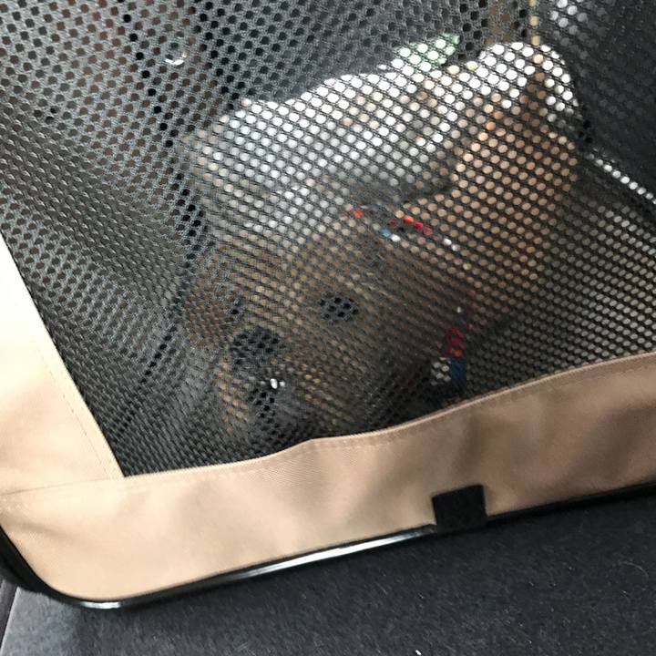 47f2adb4 6e97 47ea b598 929ebc3fdc06 1518933251308