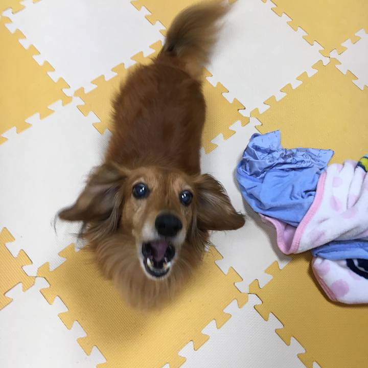 47f2d532 935d 478a bcd5 86c41e6df810 1560955349494