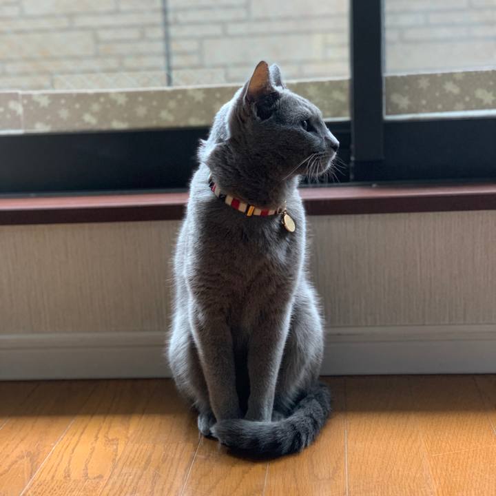 47f2d8bc f721 43a9 95dd 14abf89ff4bc 1666166524359