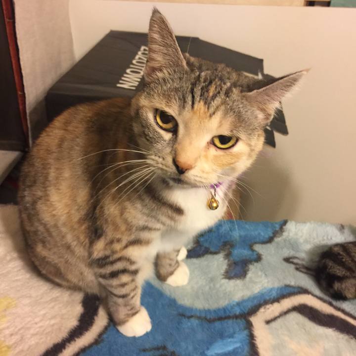 47f2dbb9 8f2e 4a95 9976 7c56520d013a 1547124947409